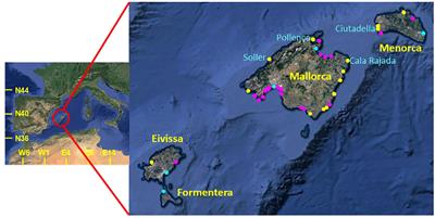 Impact of climate change on berthing areas in ports of the Balearic Islands: adaptation measures